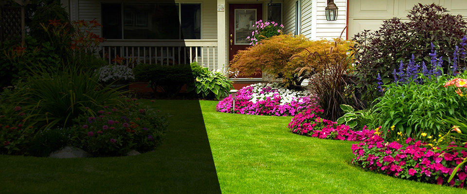 Wedowee Landscapers
