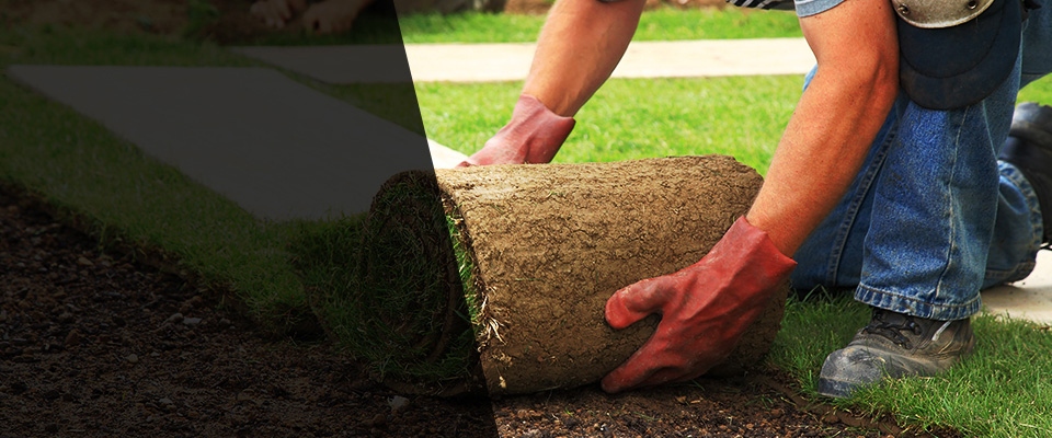 Wedowee Landscapers